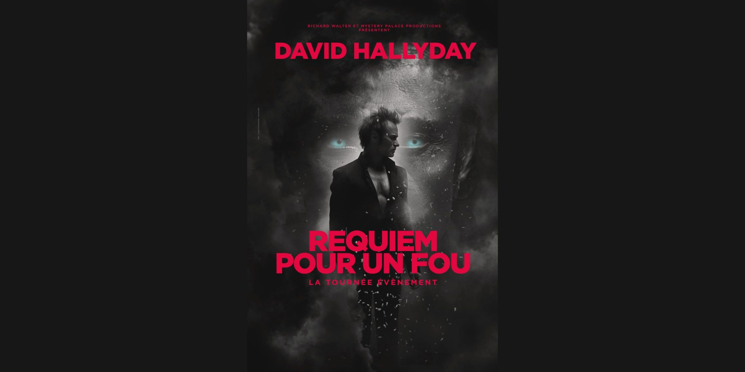 David Hallyday - Requiem pour un fou - Zenith de Lille